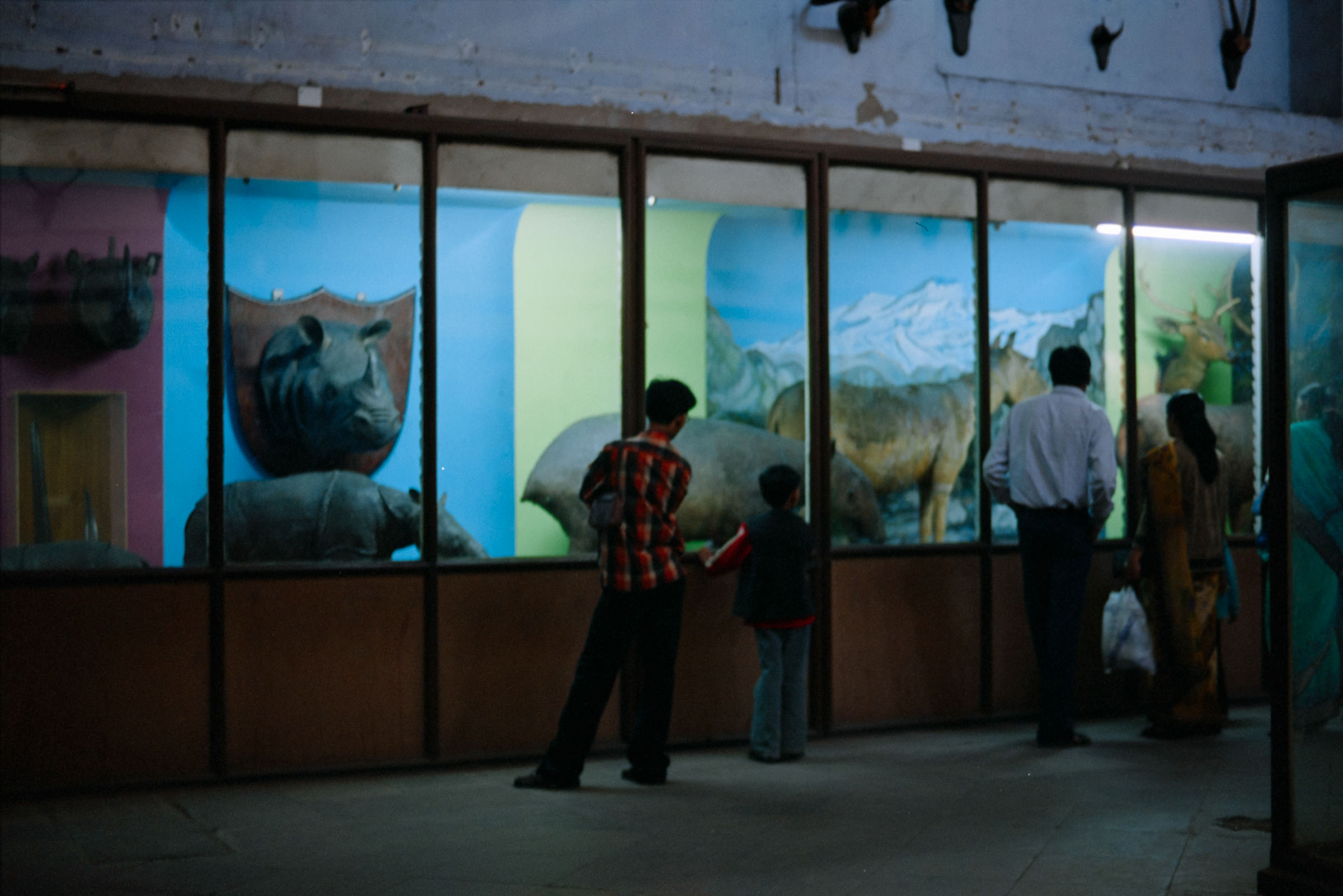 AHP film 2005 01 001 sc240825 img18 NLP